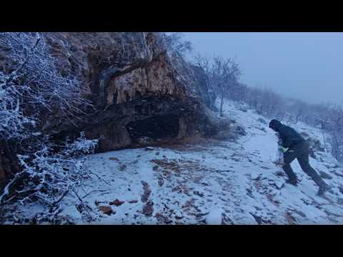 Trapped by a Snowstorm | Surviving in a Cave with My Dogs. - Nature asmr - Winter camping