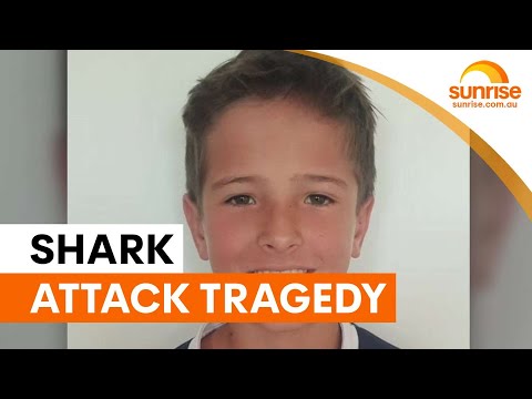 Boy not expected to survive Sydney shark attack | Sunrise