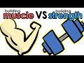Building Muscle Vs Building Strength What S The Difference