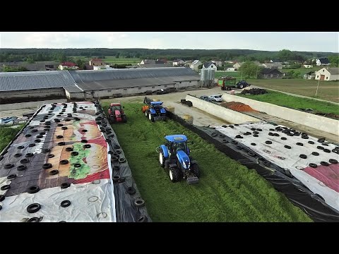 OGIEŃ NA PRYZMIE! 🔥 Zbiór traw w GR Soszyński ✔ Oporowy Vlog #2