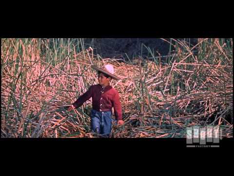 Dinosaur Attacks Child - The Beast Of Hollow Mountain (1956)