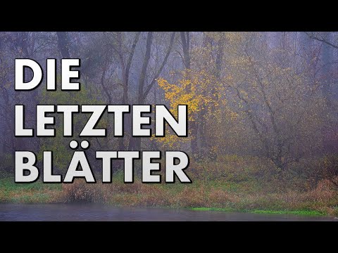 Die letzten Blätter sind die schönsten | FOTOGRAFIE im Herbst