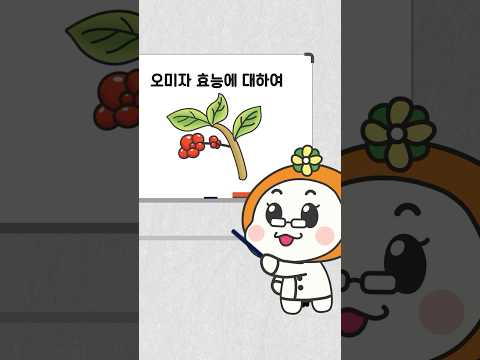수니 박사님이 설명해 주는 오미자의 효능