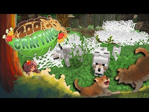 Wolf Dens & WILD Wolf Packs!! 🐺🌲 Zoo Crafting: Redwolf Redwoods • #4