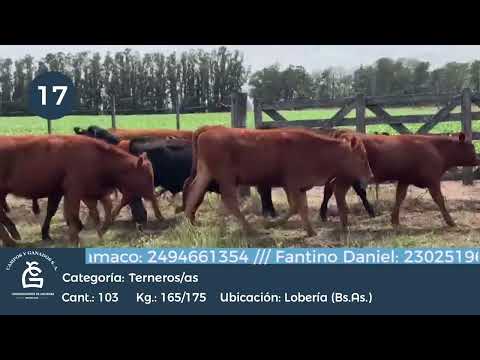 Lote M Y H- Lobería Bs As