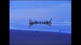 Music video thumbnail preview for bloodthirsty butchers - nagisanite [HD Remastered MV] by bloodthirsty butchers