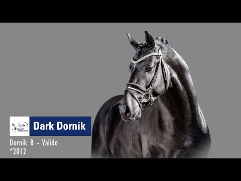 Dark Dornik 26.03.2023