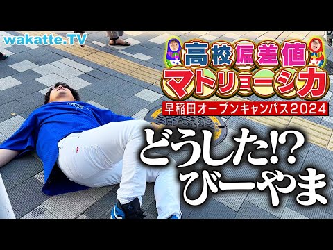 放射線技術学科 【緊急事態】高校の偏差値順に並べろ！学歴マトリョーシカ！in早稲田オーキャン2024【wakatte TV】#1107