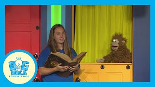 Big Idea Experience: Contentment