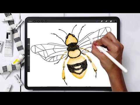 Digital Watercolor! Paint a Honey Bee in Procreate