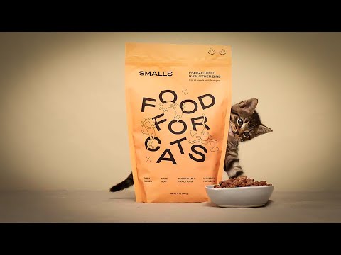 Smalls Cat Food: A Comprehensive Review [2023]