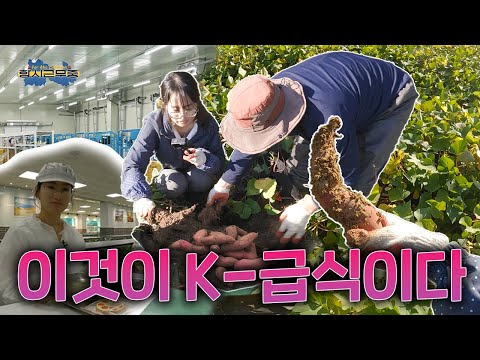 ▶공무원 VLOG/항시근무중◀ 이것이 K-급식이닷! (농식품유통과 급식지원팀)