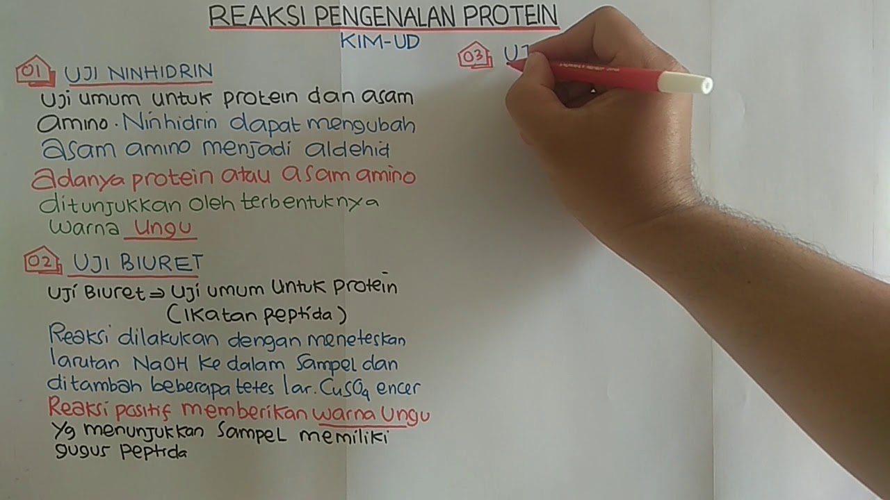 REAKSI PENGENALAN PROTEIN (UJI PROTEIN)