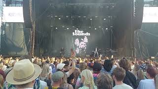 The Sounds - Night after Night