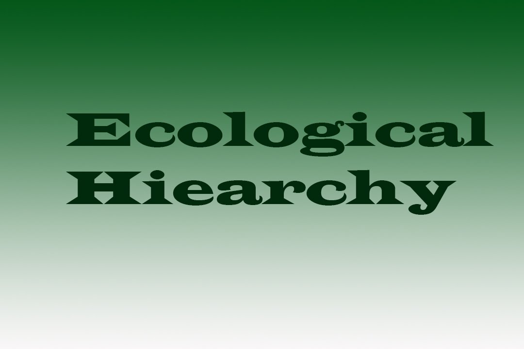 Abiotic and biotic factors and Ecological Hierarchy