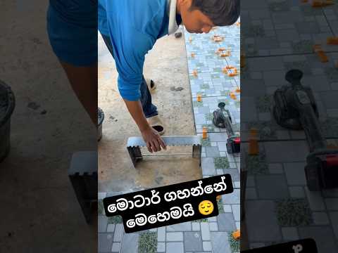 මෝටාර් ගහන අලුත්ම විදිහ #pattasindu #pyramidsofegypt #love #lovesong #dance #lovedance #pata #phan