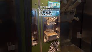 Located in the Hero’s Bar at Summer Landing on Deck 8. #carnivalcelebration #carnivalcruise #cruise