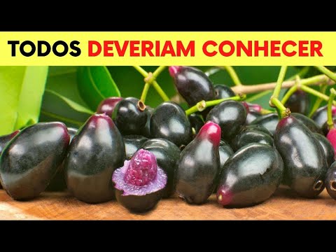 Vídeo: Jambolão: para que serve e dúvidas frequentes