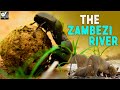 जाम्बेजी नदी - The Zambezi River: Mozambique's Force of Life | World Documentary HD