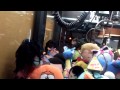 Winning A Rare Woody Woodpecker