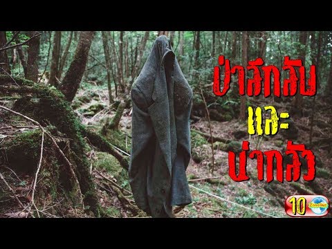 10 ป่าสุดหลอนและน่ากลัวจากทั่วมุมโลก (มีไทยด้วย) | 10 haunted forests around the world