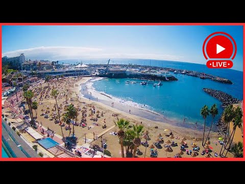 🔴LIVE: Summer has arrived early? GORGEOUS in Costa Adeje Tenerife ☀️🫶🏻 Canary Islands