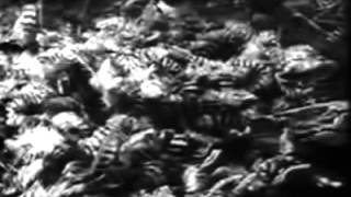 Wagon Wheels 1934 - Billy Lee