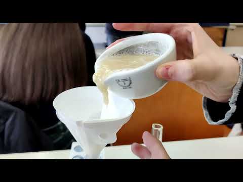 DNA-Isolation aus Bananen