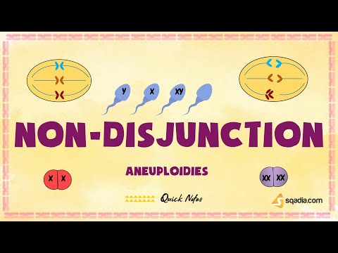 Aneuploidies | Non-Disjunction | Basic Genetics Concepts