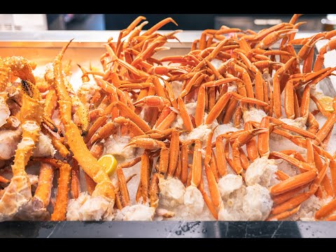 Explore the World with your Chubby Club Passport🔥