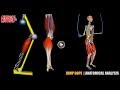 jump rope anatomical analysis active muscles