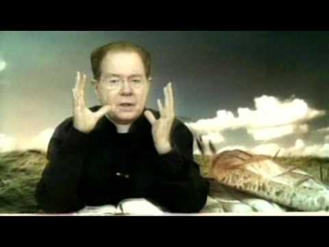 O Pão  Nosso  25 Novembro 2016    -     Pe. F. C. Cardoso