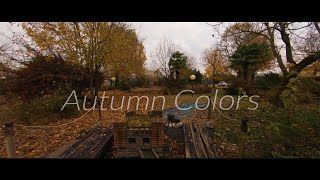 FPV | Autumn Colors | Cinewhoop | Beta95x v2 | Gopro 6 naked