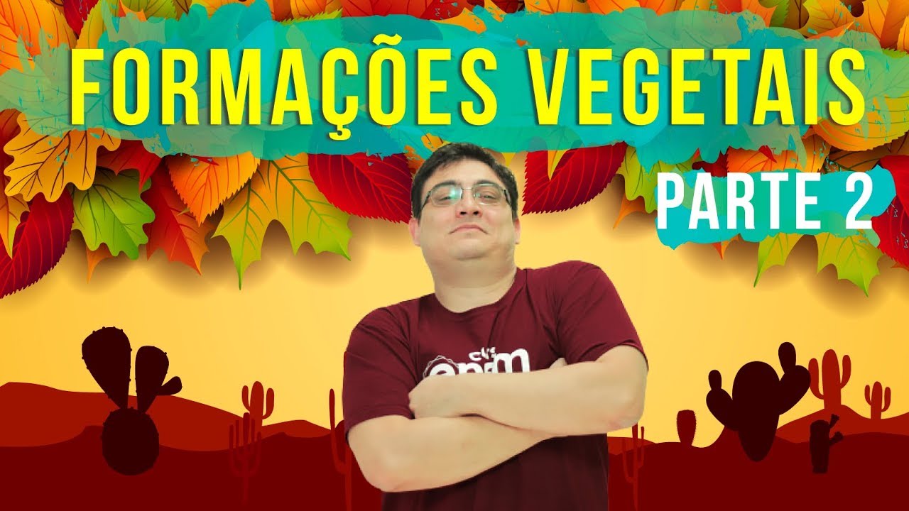 FORMAÇÕES VEGETAIS #2 - Florestas de Coníferas, Temperadas, Tundra e Desertos | Resumo de Geografia