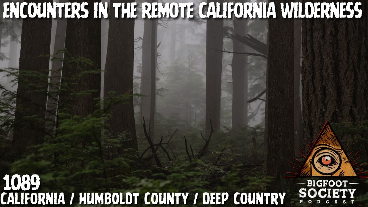 He Lived 25 Years in Bigfoot Territory… Then It Came Into His House!