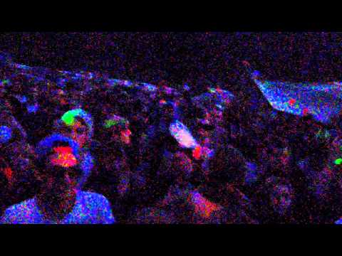 Teuf Monoxyde 6ktrix Infernal family Birthday party du 06 au 09 Juin 2014