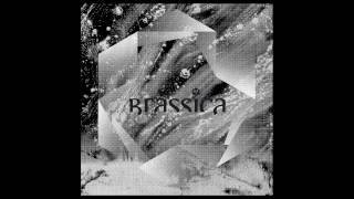 Brassica - Lydden Circuit (Capracara Remix)