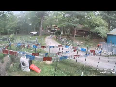 SDP afternoon to 1025pm day ends 5282020