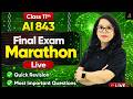Class 11th AI 843 Final Exam ONE SHOT Marathon IMP Questions Quick Revision Barkha Mam