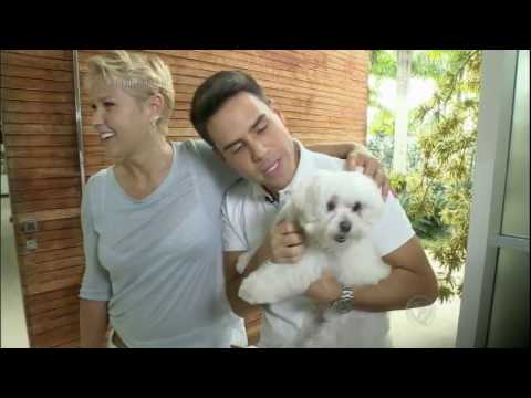 Bacci tenta adivinhar qual a raça de cachorro mais cara do Brasil