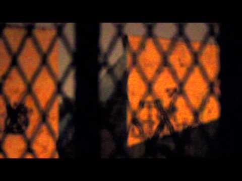 D-Nyce- "Paterson Poet" (Official Video) (T3i)