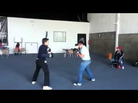 lo mejor del boxeo 2012