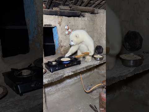 भालू का बच्चा मेरे घर में घुस गया😰#bear #shorts #pets #minivlog