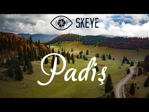 Padis, Romania from the SkEye