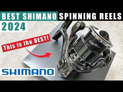 3 Best SHIMANO Spinning Reel 2024 (reviewed)