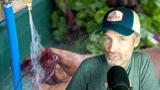 How Much Water You Will Need for the Garden + Water Storing Safety