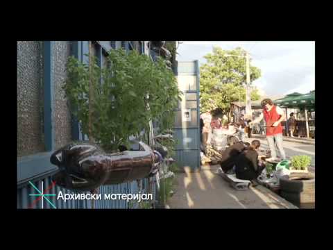 MOJ LIČNI PEČAT - HD Maja Lalić