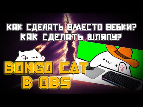 BONGO CAT в OBS | Как сделать шляпу? | Выдаёт ошибку | Как сделать вместо вебки?