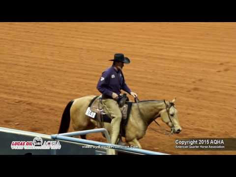REATA B REJOICING, RHB ridden by MIKE A MAJOR  - 2015 AQHA World Show (FINALS - Jr Ranch Riding L3)