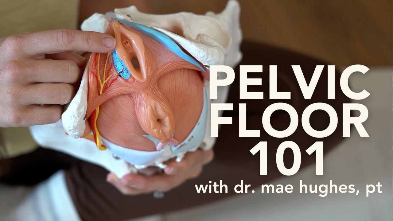 PELVIC FLOOR 101: What does it do? What can go wrong? Where to start?